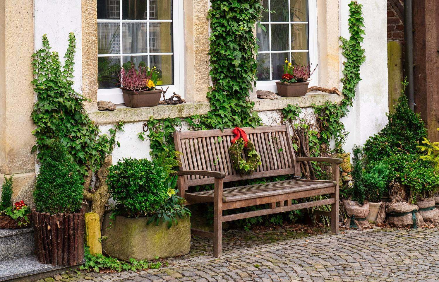 Un banc de bois devant une maison couverte de lierre et de plantes